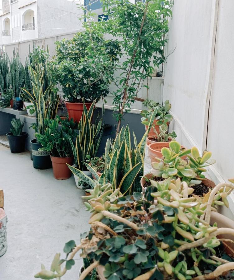 Hostel Negusta Arte E Atividades Praia Exteriér fotografie